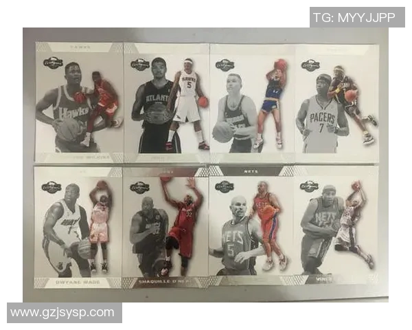 2013年NBA季后赛热火对决篮网精彩回顾与战术分析