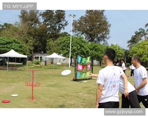 南京飞盘队的默契配合与战术分析探讨飞盘运动的团队协作之道